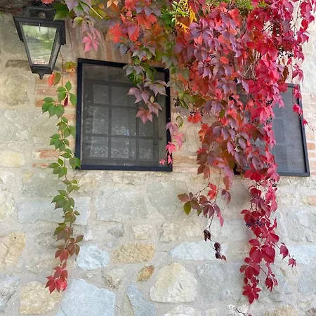 Agroturismo Ca Monduzzi Zocchetta