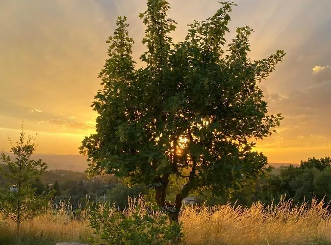 Ca Monduzzi Alloggio per agriturismo *